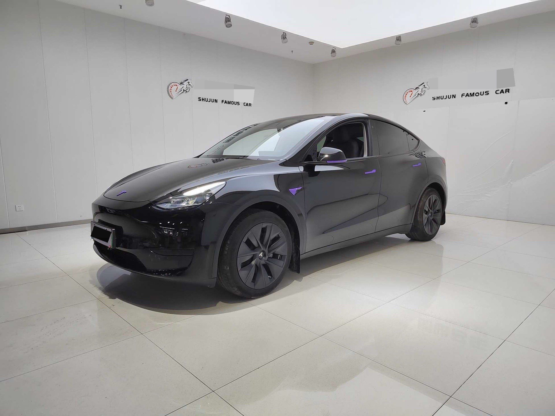 Tesla Model Y 2023 car image 