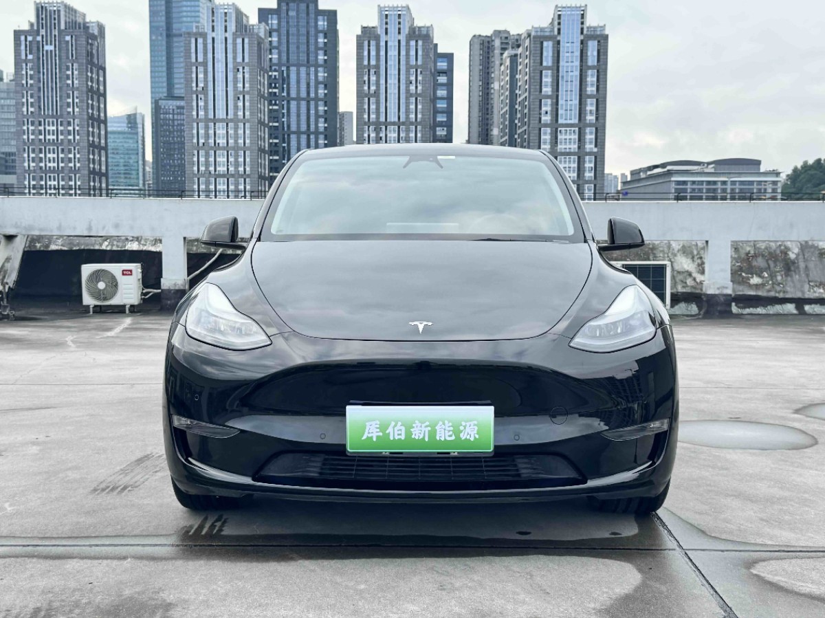 Tesla Model Y 2021 #3 Tesla Model Y 2021 car image #3