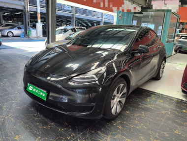 Tesla Model Y 2021 car image 