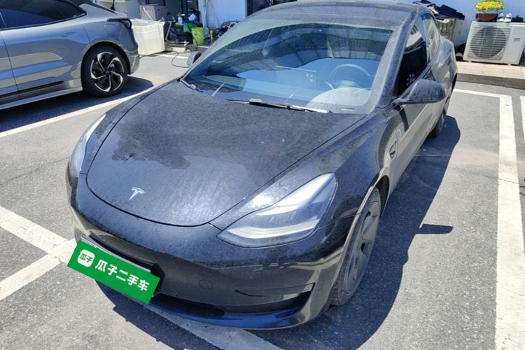 Tesla Model 3 2021 #2 Tesla Model 3 2021 car image #2
