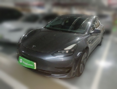 Tesla Model 3 2021 car image 