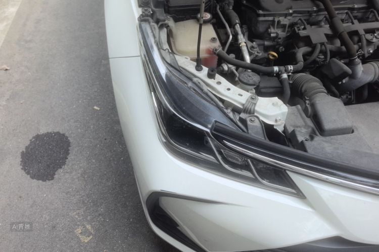 Toyota Corolla 2020 car image #8