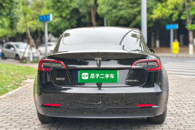 Tesla Model 3 2023 car image #6