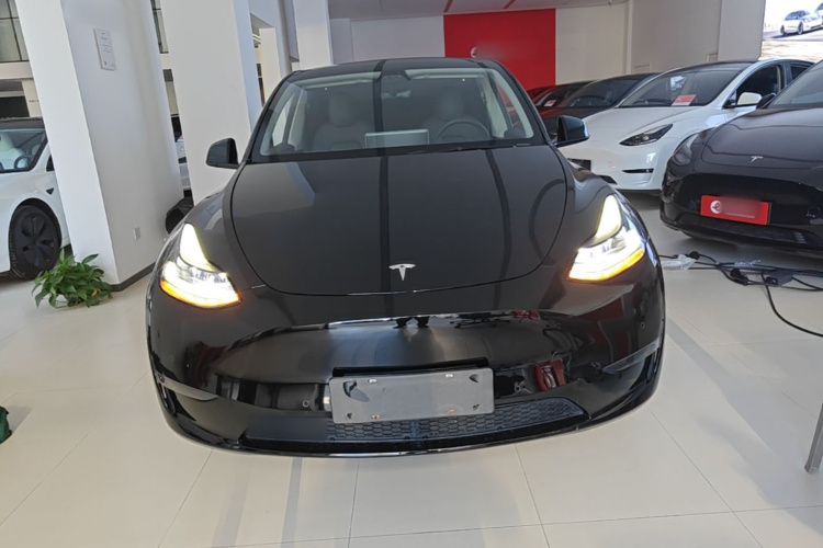 Tesla Model Y 2021 car image #3