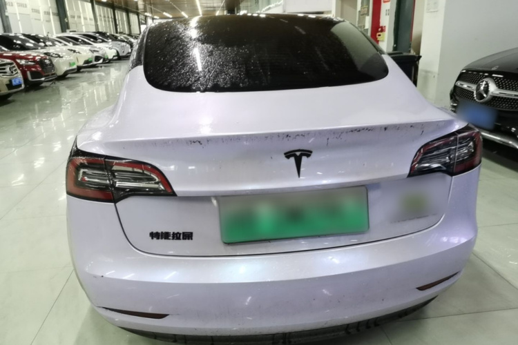Tesla Model 3 2021 immagine di auto #6