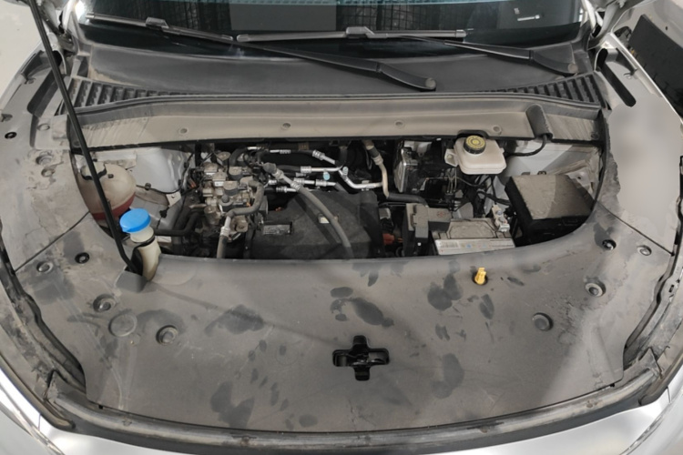 BYD Yuan Plus 2024 car image #20