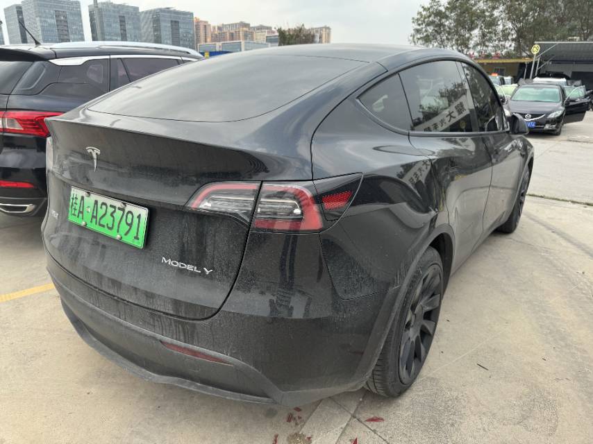 Tesla Model Y 2021 #10 Tesla Model Y 2021 car image #10