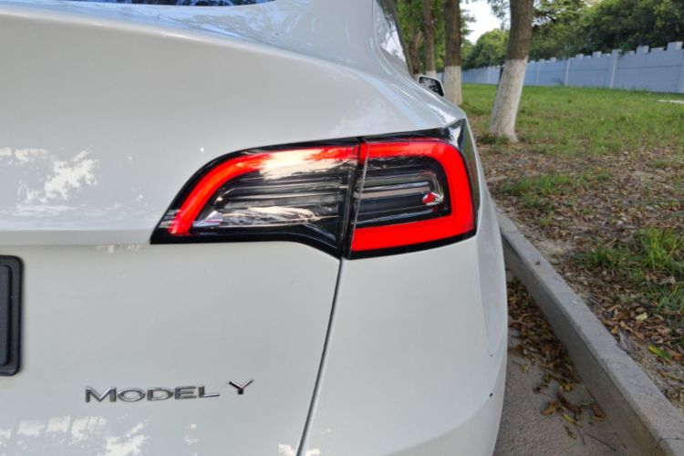 Tesla Model Y 2022 immagine di auto #8