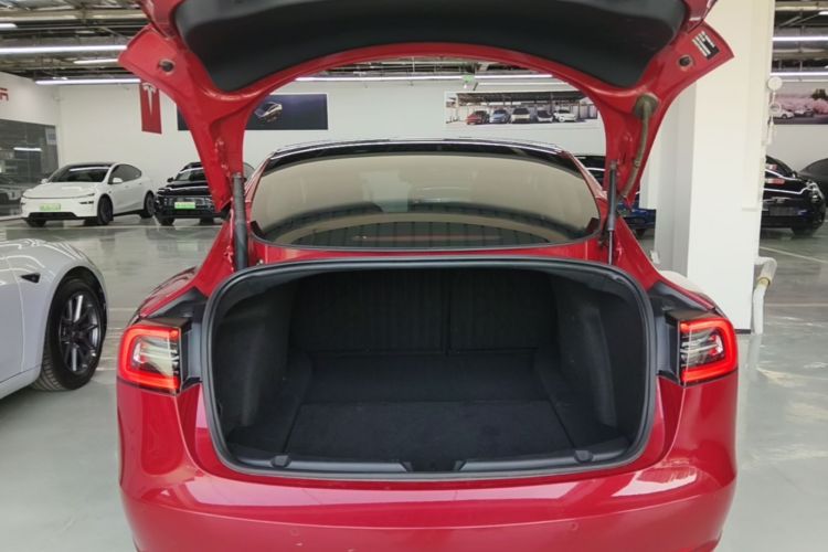 Tesla Model 3 2021 #19 Tesla Model 3 2021 immagine di auto #19