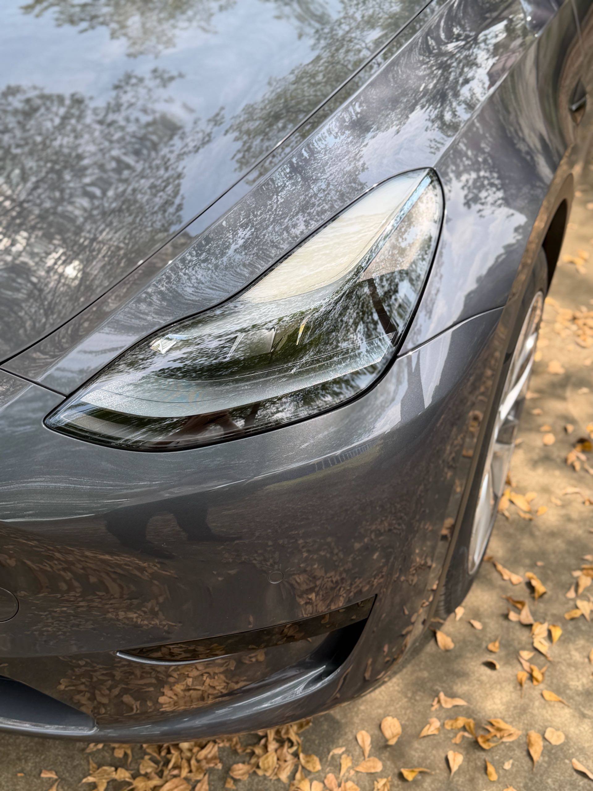 Tesla Model Y 2022 car image #2