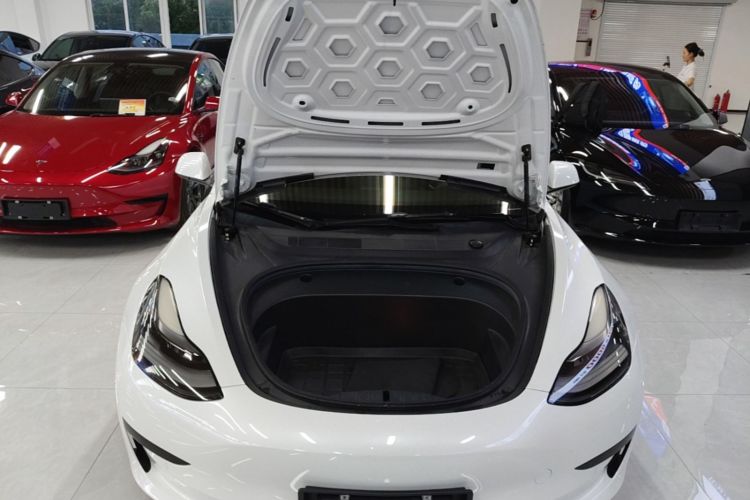 Tesla Model 3 2022 immagine di auto #20