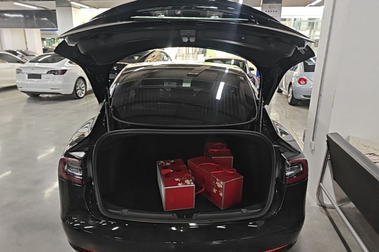 Tesla Model 3 2020 car image #19
