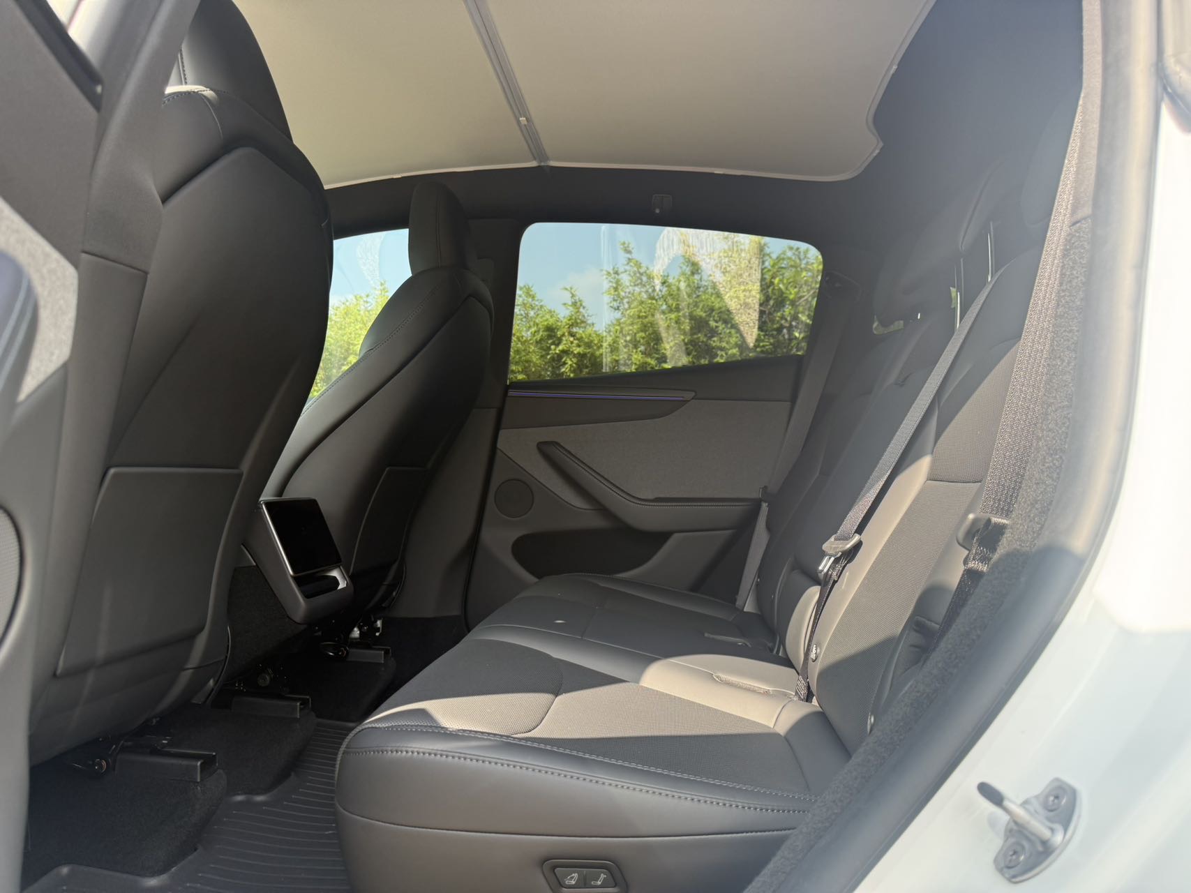 Tesla Model Y 2026 car image #8