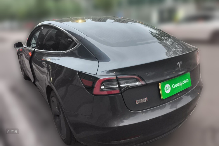 Tesla Model 3 2020 car image #5