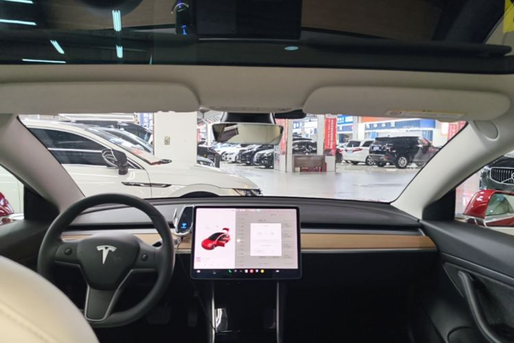 Tesla Model 3 2020 car image #18