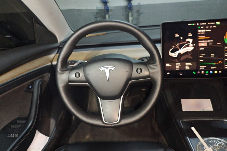 Tesla Model 3 2023 immagine di auto #12