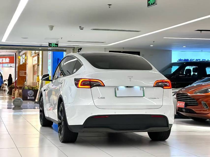 Tesla Model Y 2024 car image #10