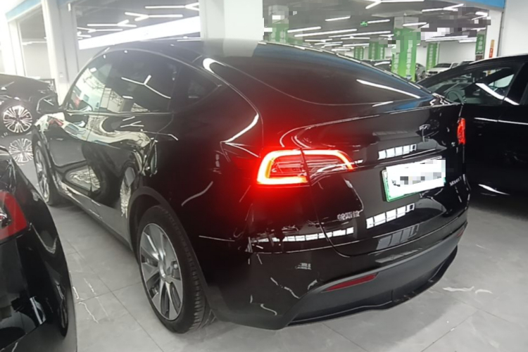 Tesla Model Y 2023 #5 Tesla Model Y 2023 car image #5