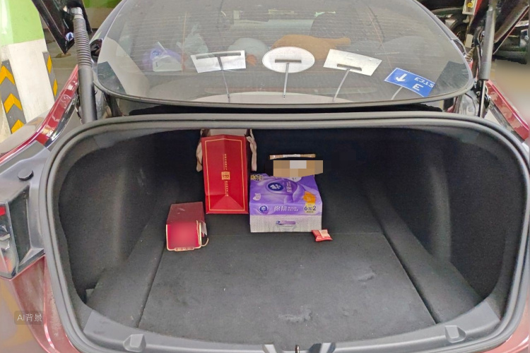 Tesla Model 3 2021 car image #21