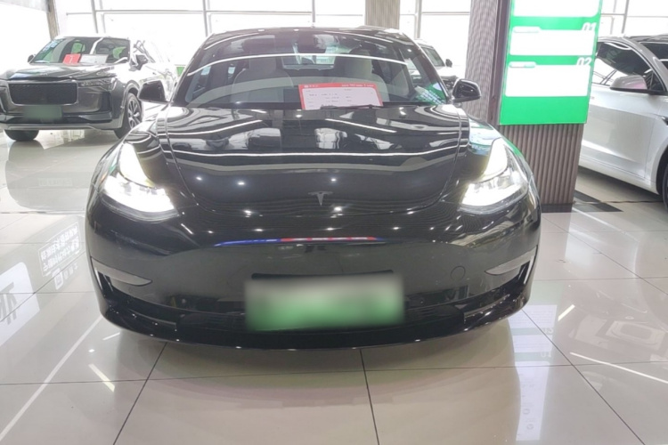 Tesla Model 3 2022 #3 Tesla Model 3 2022 car image #3