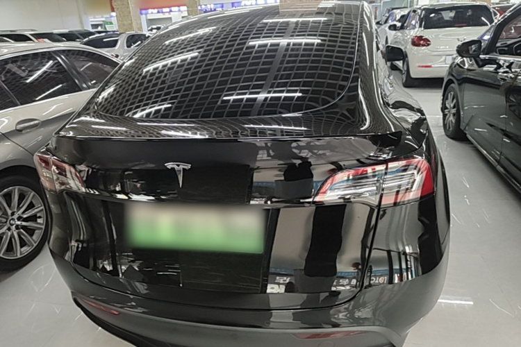 Tesla Model Y 2023 car image #6