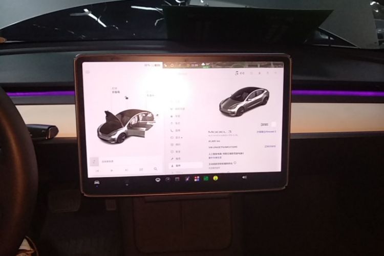Tesla Model 3 2021 car image #13
