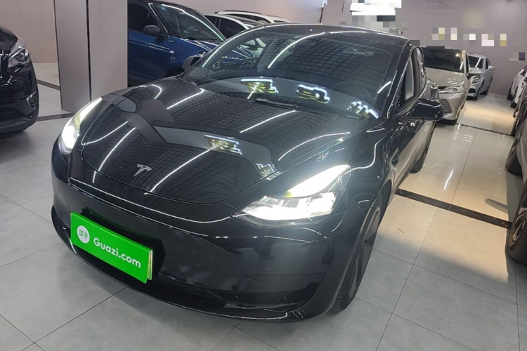 Tesla Model 3 2021 #2 Tesla Model 3 2021 car image #2
