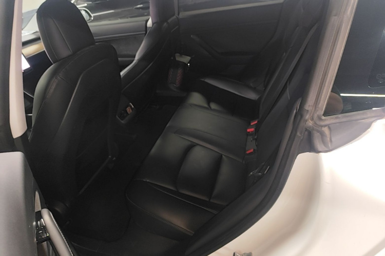 Tesla Model 3 2020 #17 Tesla Model 3 2020 car image #17