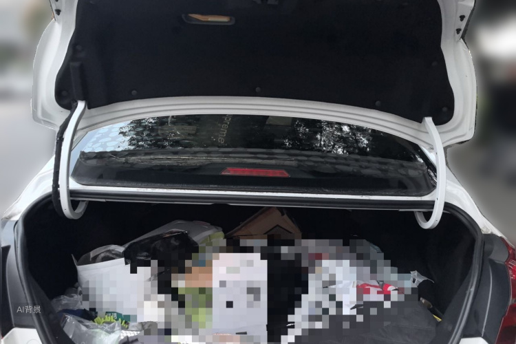 GEELY Emgrand 2018 car image #21