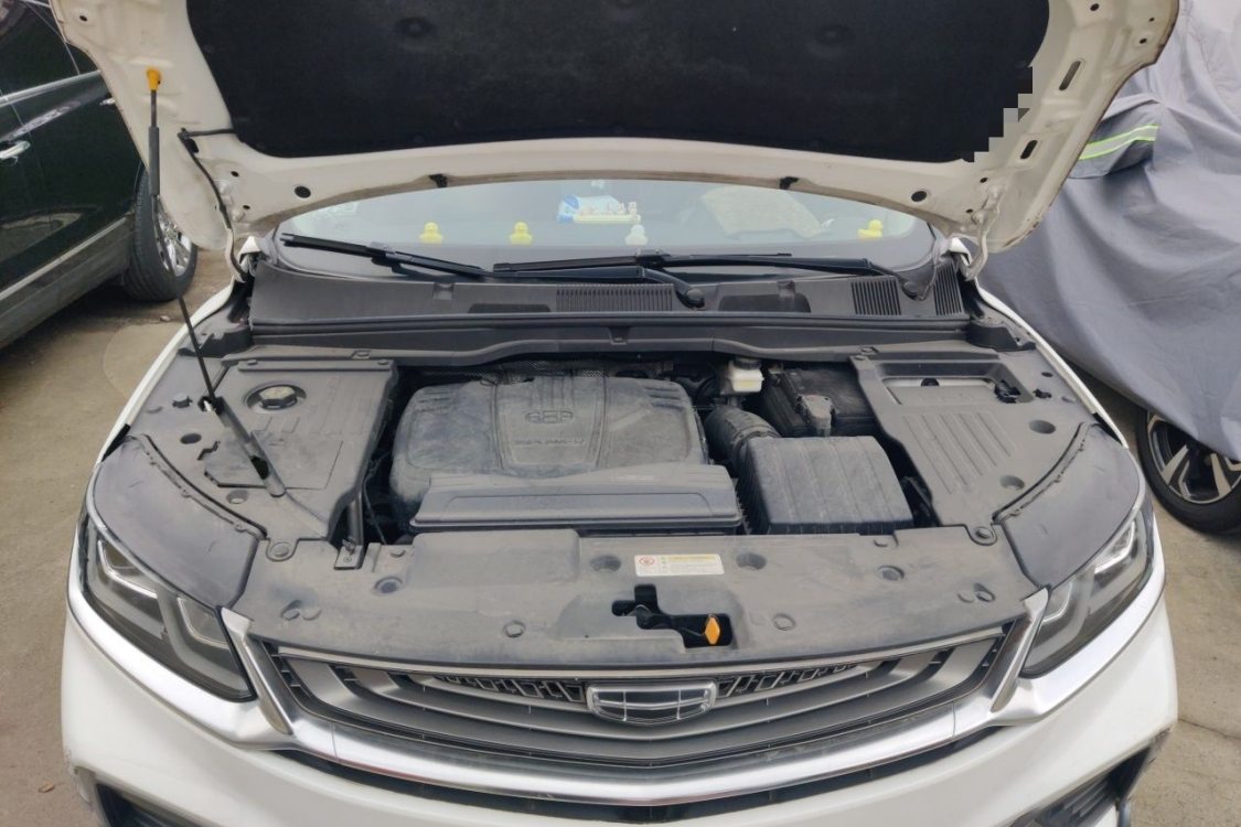 GEELY Coolray 2019 car image #10