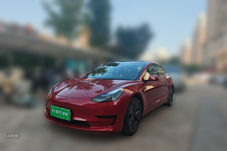 Tesla Model 3 2022 car image #2
