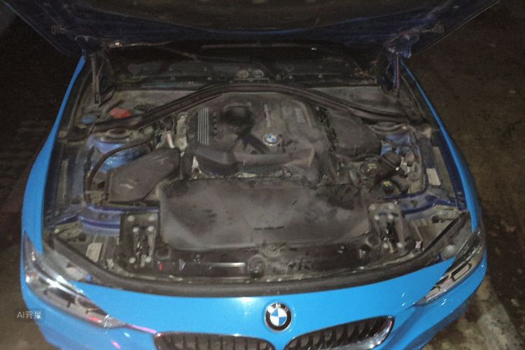 BMW 3 Series 2016 car image #22