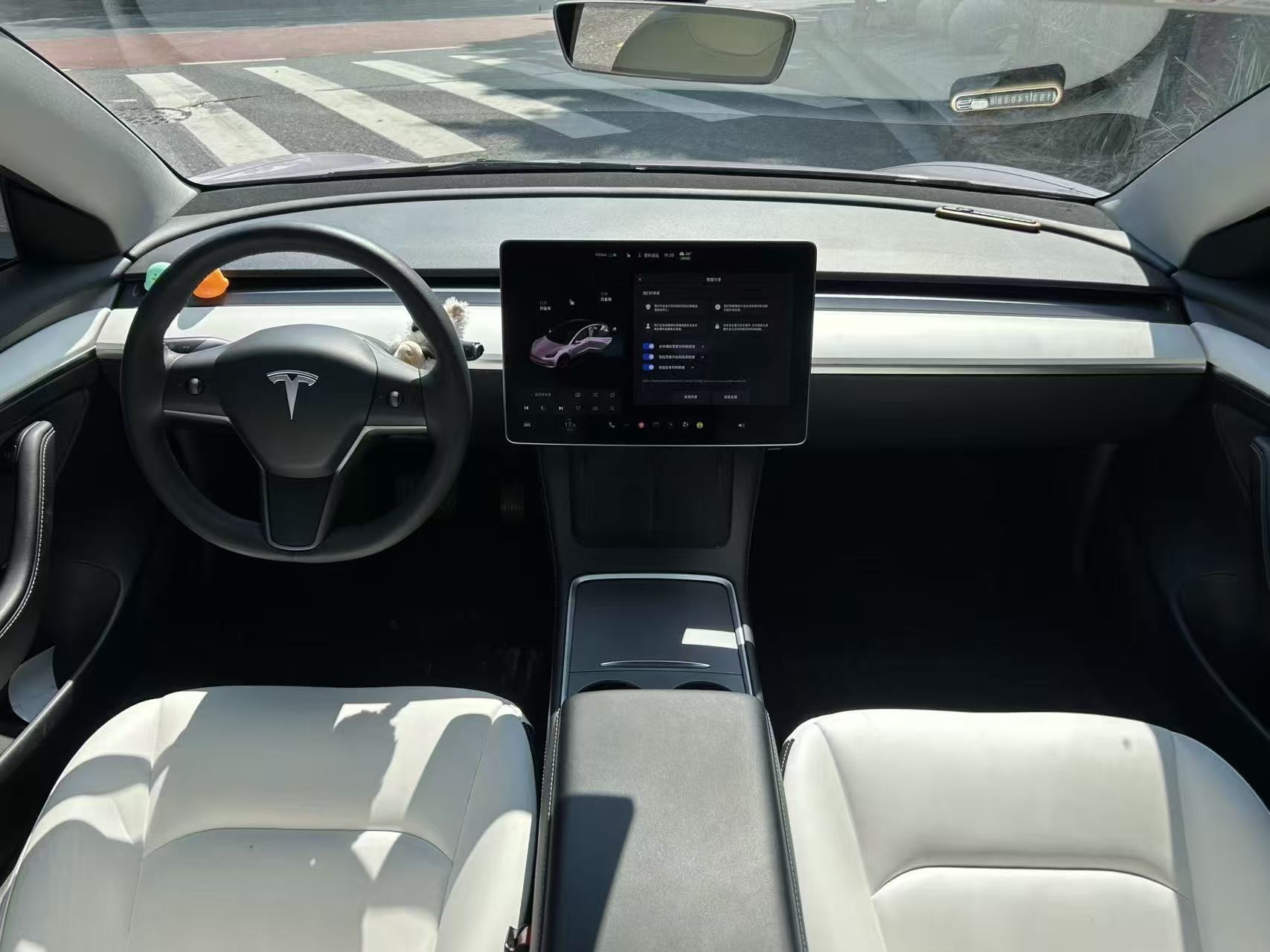 Tesla Model 3 2021 #8 Tesla Model 3 2021 car image #8