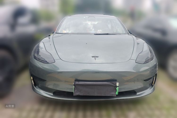 Tesla Model 3 2021 car image #3
