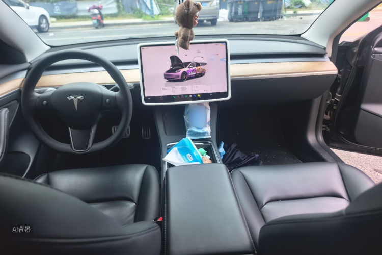 Tesla Model 3 2021 car image #11