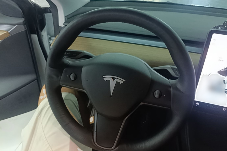 Tesla Model 3 2021 car image #11