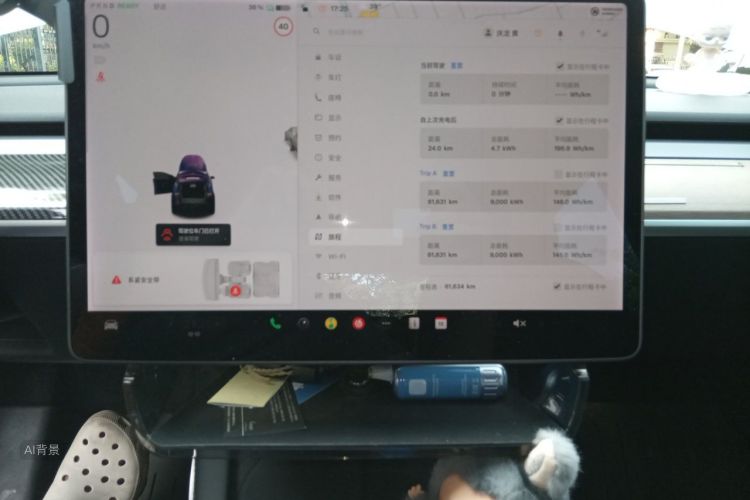 Tesla Model Y 2021 car image #15
