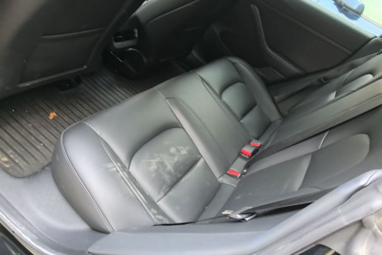 Tesla Model 3 2022 #17 Tesla Model 3 2022 car image #17