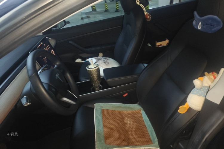 Tesla Model 3 2020 #17 Tesla Model 3 2020 car image #17