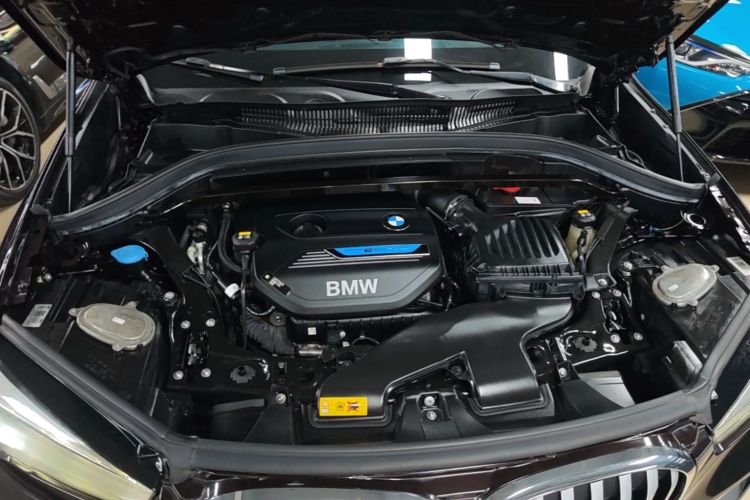 BMW X1 New Energy 2020 car image #20