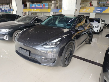Tesla Model Y 2024 Tesla Model Y 2024 car image