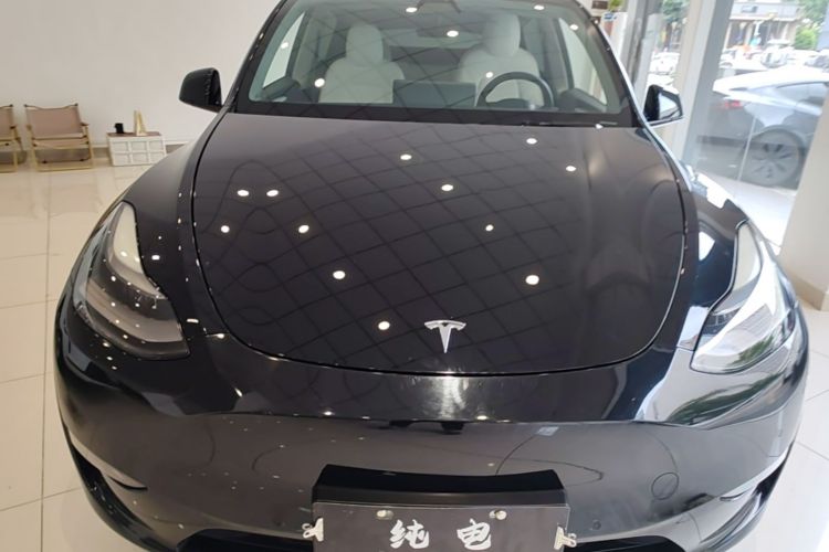 Tesla Model Y 2021 #3 Tesla Model Y 2021 car image #3