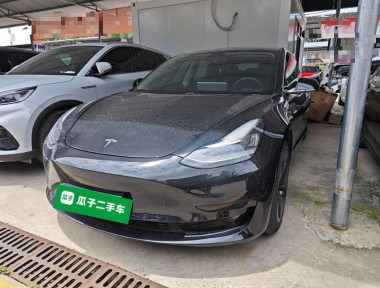 Tesla Model 3 2020 car image 