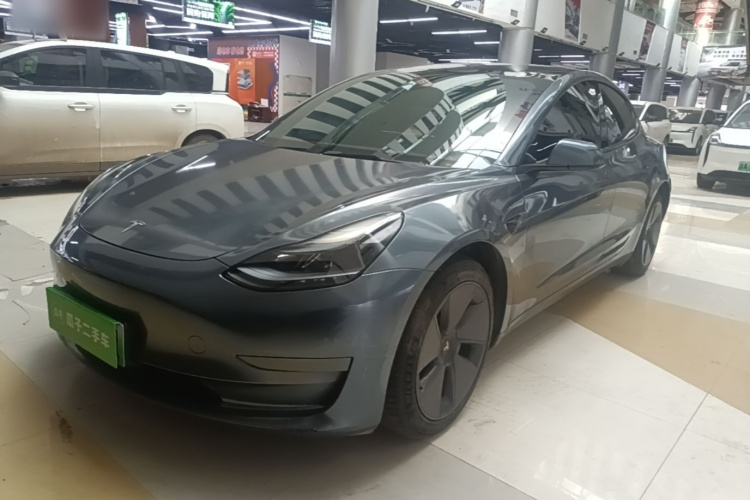 Tesla Model 3 2023 immagine di auto #2