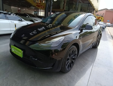 Tesla Model Y 2022 Tesla Model Y 2022 car image