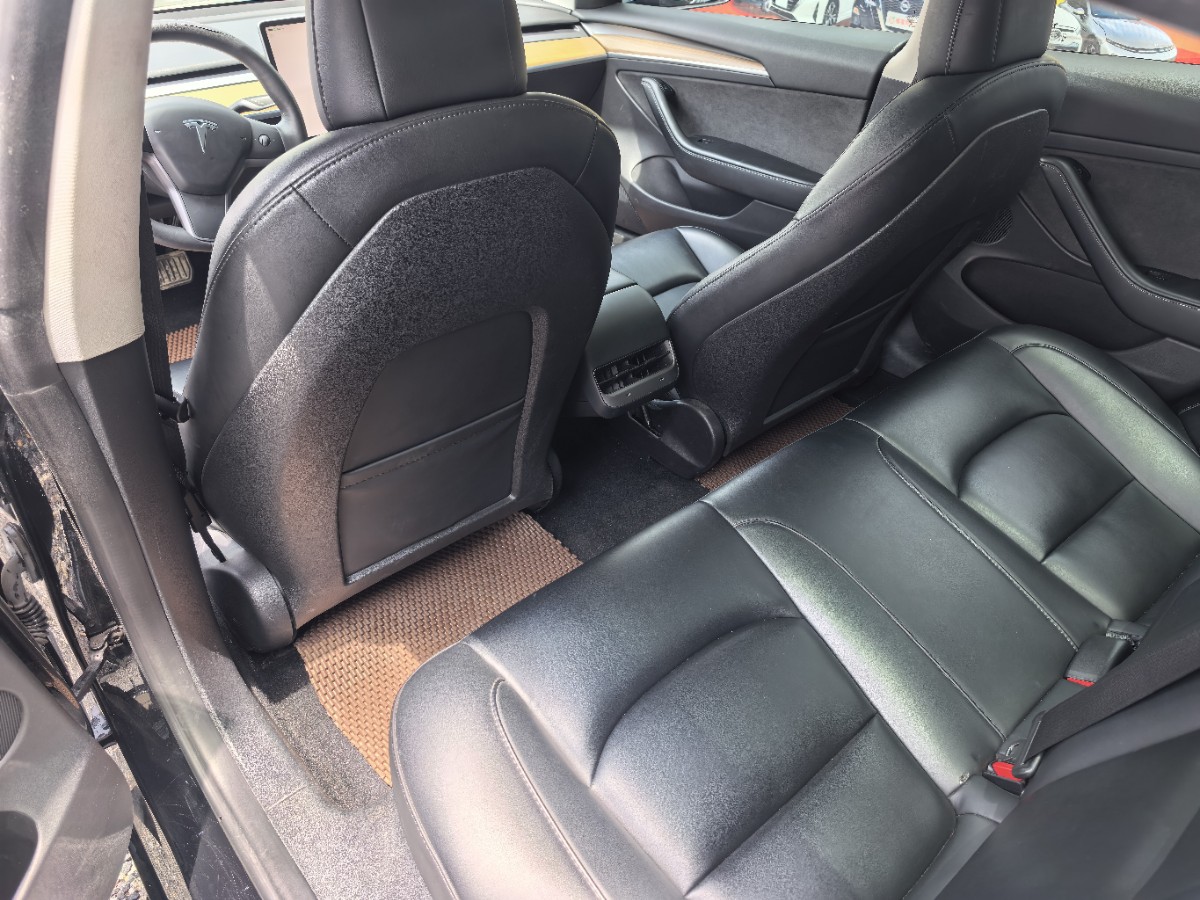 Tesla Model 3 2023 car image #5