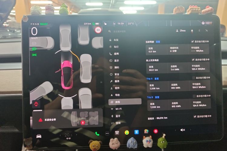 Tesla Model 3 2020 car image #12