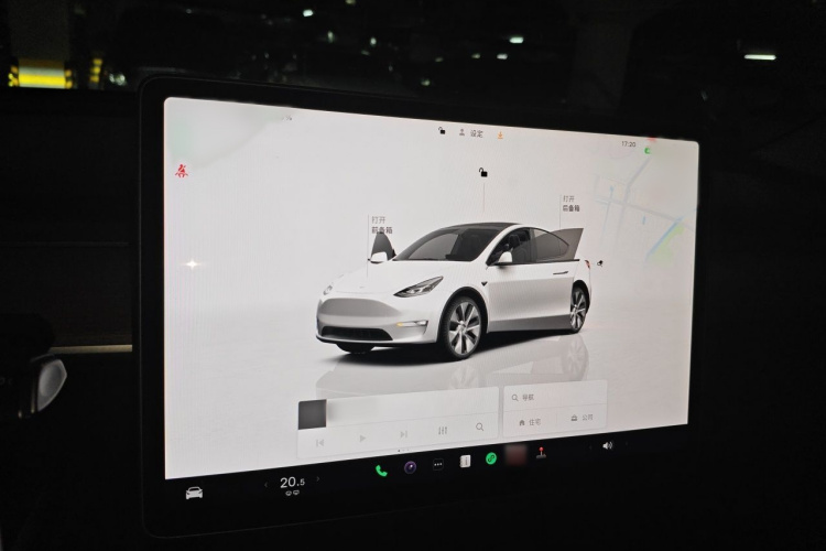 Tesla Model Y 2022 car image #16
