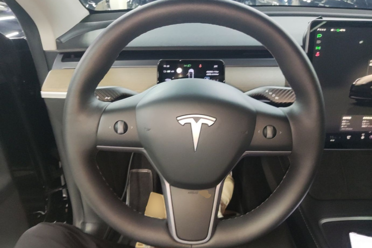 Tesla Model Y 2022 car image #15