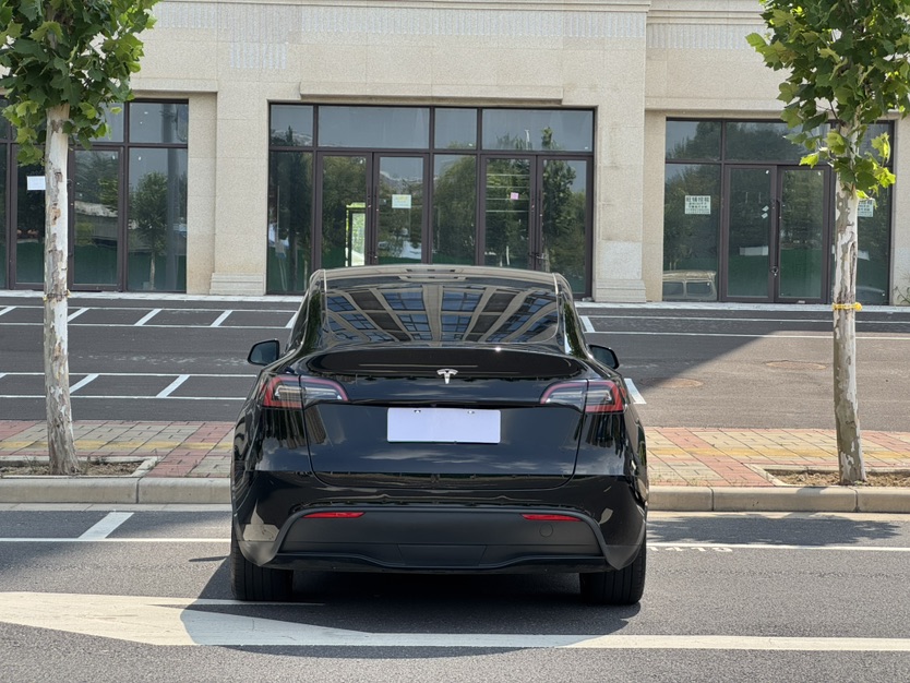 Tesla Model Y 2023 #10 Tesla Model Y 2023 car image #10